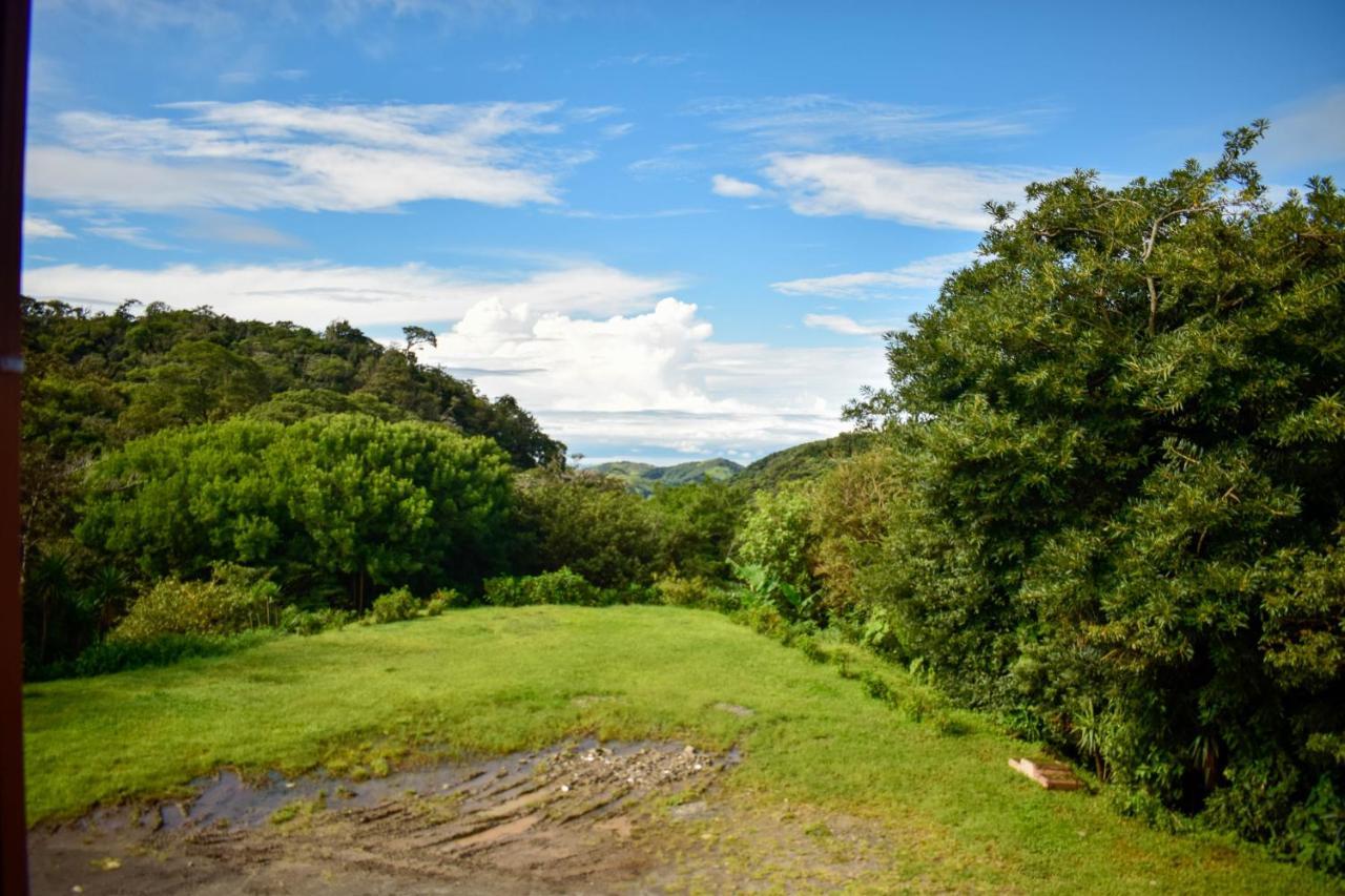 الجبل الأخضر Cabinas Selva Verde المظهر الخارجي الصورة