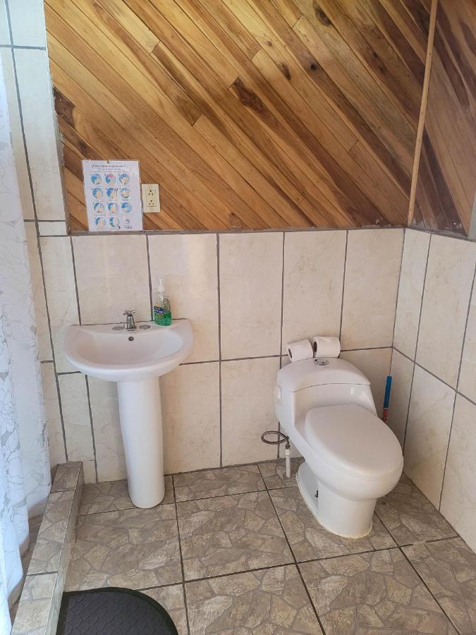 الجبل الأخضر Cabinas Selva Verde المظهر الخارجي الصورة